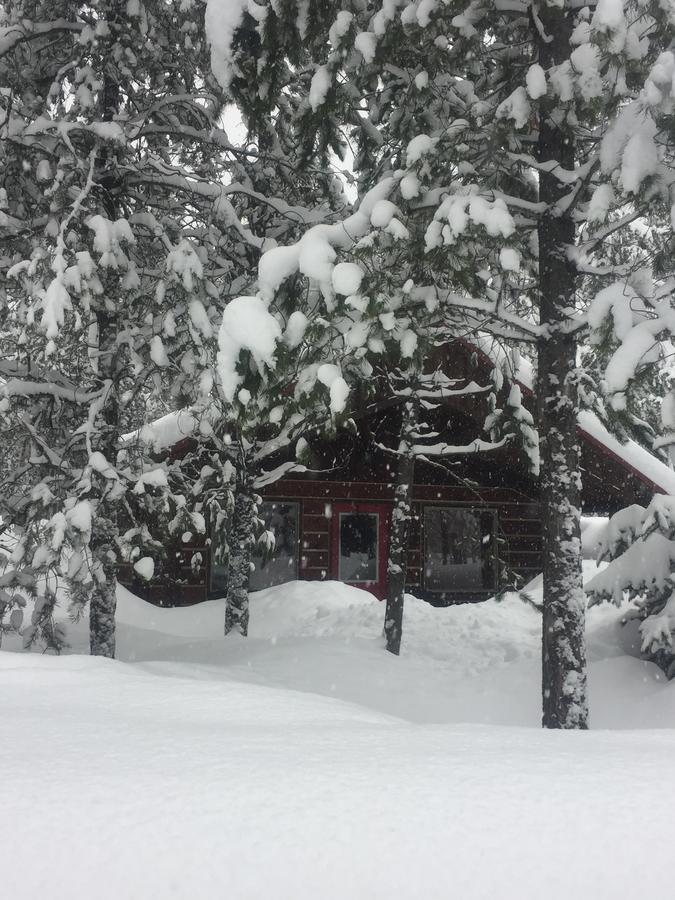 Reclusive Moose Cabins West Glacier Exterior photo